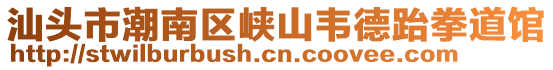 汕頭市潮南區(qū)峽山韋德跆拳道館