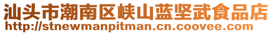 汕頭市潮南區(qū)峽山藍堅武食品店