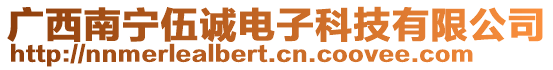 广西南宁伍诚电子科技有限公司