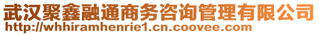 武漢聚鑫融通商務(wù)咨詢管理有限公司