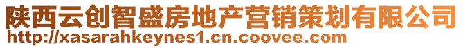 陜西云創(chuàng)智盛房地產(chǎn)營(yíng)銷策劃有限公司