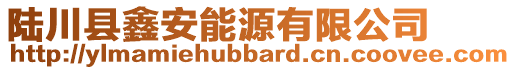 陆川县鑫安能源有限公司