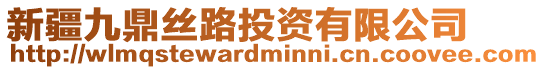 新疆九鼎絲路投資有限公司