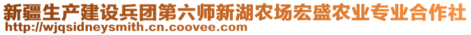 新疆生產(chǎn)建設(shè)兵團(tuán)第六師新湖農(nóng)場宏盛農(nóng)業(yè)專業(yè)合作社