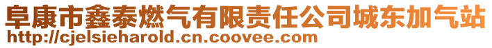 阜康市鑫泰燃?xì)庥邢挢?zé)任公司城東加氣站