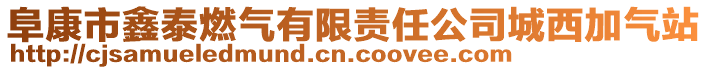 阜康市鑫泰燃?xì)庥邢挢?zé)任公司城西加氣站