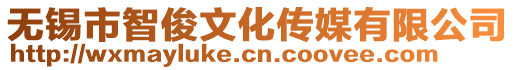 無錫市智俊文化傳媒有限公司