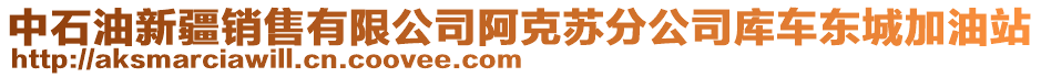 中石油新疆銷售有限公司阿克蘇分公司庫車東城加油站