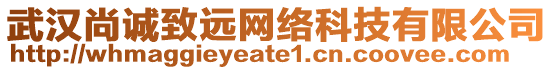 武漢尚誠(chéng)致遠(yuǎn)網(wǎng)絡(luò)科技有限公司