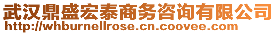 武漢鼎盛宏泰商務(wù)咨詢有限公司