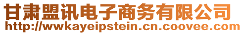 甘肅盟訊電子商務(wù)有限公司