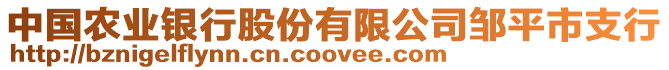 中國(guó)農(nóng)業(yè)銀行股份有限公司鄒平市支行