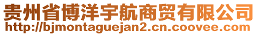 貴州省博洋宇航商貿(mào)有限公司