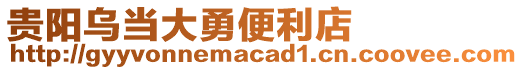 貴陽(yáng)烏當(dāng)大勇便利店