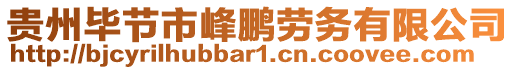 貴州畢節(jié)市峰鵬勞務(wù)有限公司