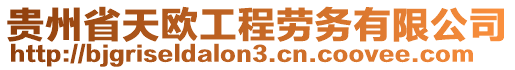 貴州省天歐工程勞務(wù)有限公司