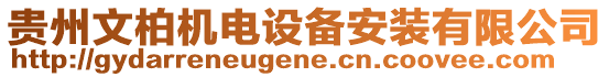 貴州文柏機電設(shè)備安裝有限公司