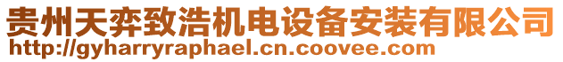 貴州天弈致浩機(jī)電設(shè)備安裝有限公司