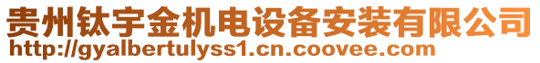 貴州鈦宇金機(jī)電設(shè)備安裝有限公司