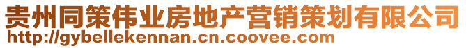 貴州同策偉業(yè)房地產(chǎn)營銷策劃有限公司