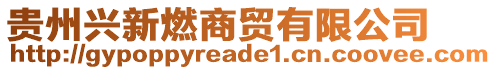 貴州興新燃商貿有限公司