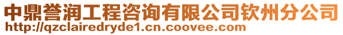 中鼎譽(yù)潤工程咨詢有限公司欽州分公司