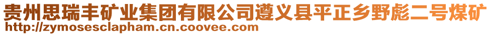 貴州思瑞豐礦業(yè)集團(tuán)有限公司遵義縣平正鄉(xiāng)野彪二號(hào)煤礦