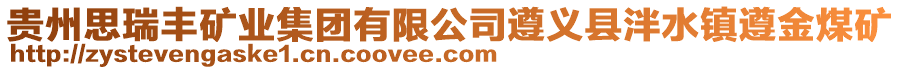 貴州思瑞豐礦業(yè)集團(tuán)有限公司遵義縣泮水鎮(zhèn)遵金煤礦