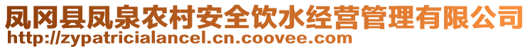 鳳岡縣鳳泉農(nóng)村安全飲水經(jīng)營管理有限公司