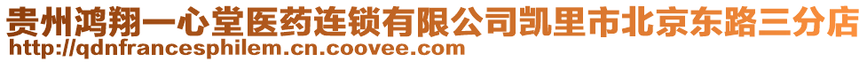 貴州鴻翔一心堂醫(yī)藥連鎖有限公司凱里市北京東路三分店