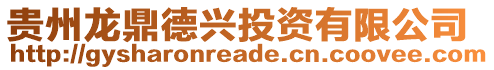 貴州龍鼎德興投資有限公司