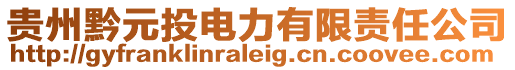 貴州黔元投電力有限責(zé)任公司