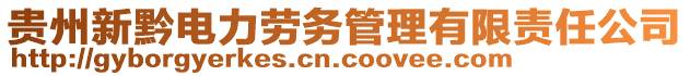 貴州新黔電力勞務(wù)管理有限責(zé)任公司