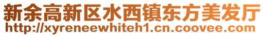 新余高新區(qū)水西鎮(zhèn)東方美發(fā)廳