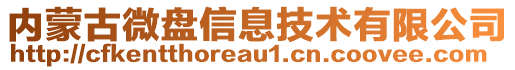 內蒙古微盤信息技術有限公司