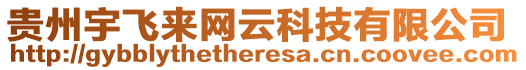 貴州宇飛來(lái)網(wǎng)云科技有限公司