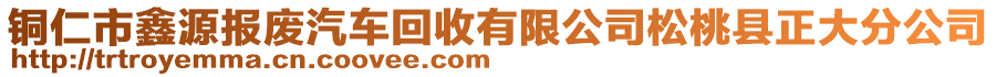 銅仁市鑫源報(bào)廢汽車回收有限公司松桃縣正大分公司