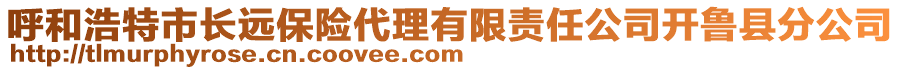 呼和浩特市長遠(yuǎn)保險(xiǎn)代理有限責(zé)任公司開魯縣分公司