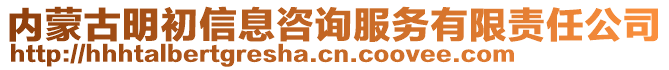 内蒙古明初信息咨询服务有限责任公司