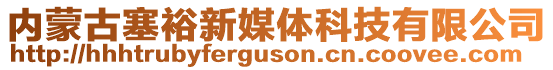 內(nèi)蒙古塞裕新媒體科技有限公司