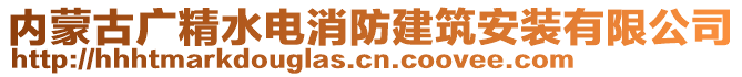 內(nèi)蒙古廣精水電消防建筑安裝有限公司