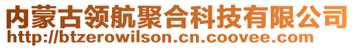 内蒙古领航聚合科技有限公司