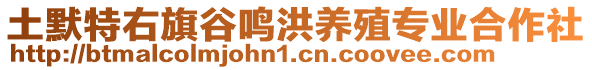 土默特右旗谷鸣洪养殖专业合作社