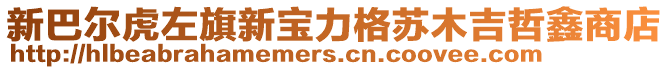 新巴爾虎左旗新寶力格蘇木吉哲鑫商店