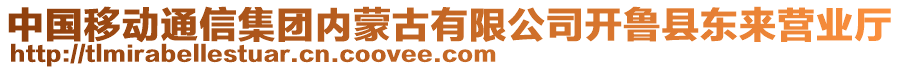 中国移动通信集团内蒙古有限公司开鲁县东来营业厅