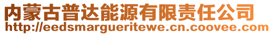 內(nèi)蒙古普達能源有限責任公司