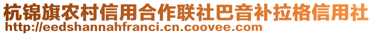 杭錦旗農(nóng)村信用合作聯(lián)社巴音補拉格信用社