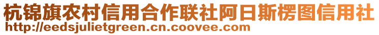 杭錦旗農(nóng)村信用合作聯(lián)社阿日斯楞圖信用社