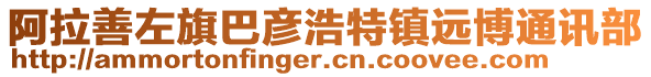 阿拉善左旗巴彥浩特鎮(zhèn)遠(yuǎn)博通訊部