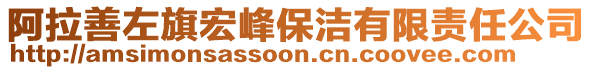 阿拉善左旗宏峰保潔有限責(zé)任公司